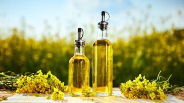 What's Expiration Date on Canola Oil
