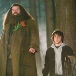 Who Plays Hagrid in Harry Potter