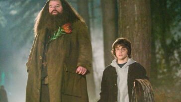 Who Plays Hagrid in Harry Potter