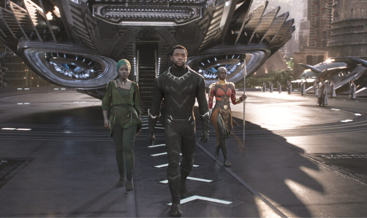 Who is Black Panther in Wakanda Forever
